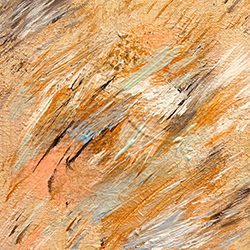 ff-55ef3519a06a22b5f466a23462f02b1a-ff-IMG_3314